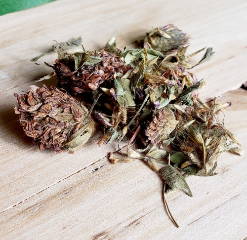 KONICZYNA CZERWONA - SUSZONA 10g