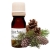 ZAPACH DO ŚWIEC W SZKLE - SOSNA (10ml)