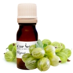 ZAPACH DO ŚWIEC W SZKLE - AGREST (10ml) 