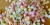 ZAPACH DO ŚWIEC W SZKLE - MARSHMALLOW (10ml)