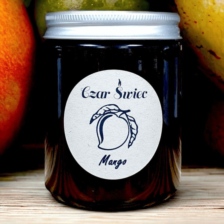 BRĄZOWE SŁOIKI - Świeca sojowa MANGO