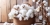 cottonn.jpg