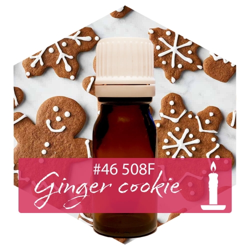 ginger cookie.jpg